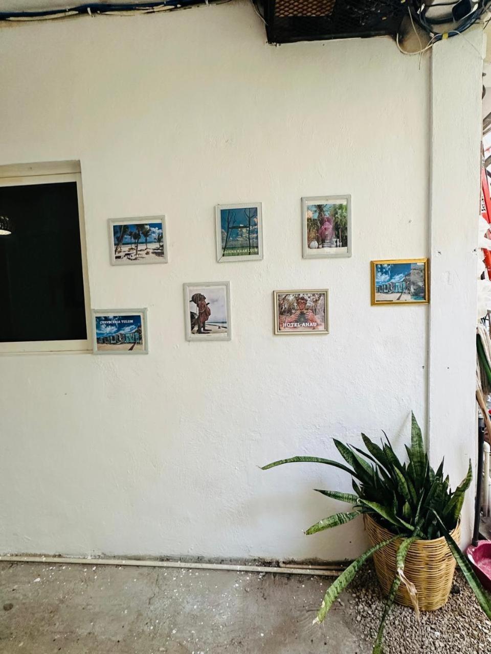 Monoespacio A 2 Cuadras De La Estacion De Autobuses Ado Apartamento Tulum