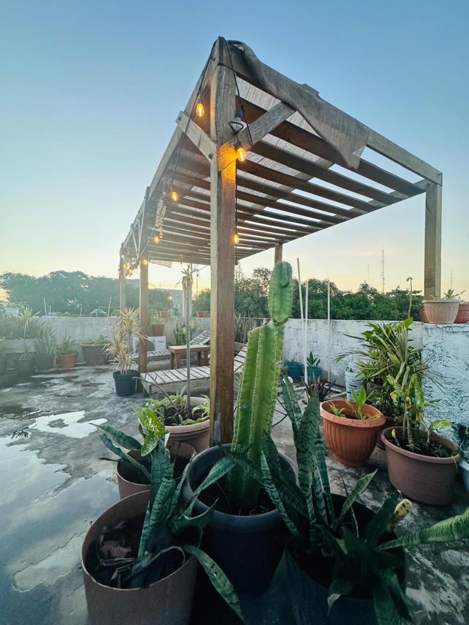 Apartamento Monoespacio A 2 Cuadras De La Estacion De Autobuses Ado Tulum